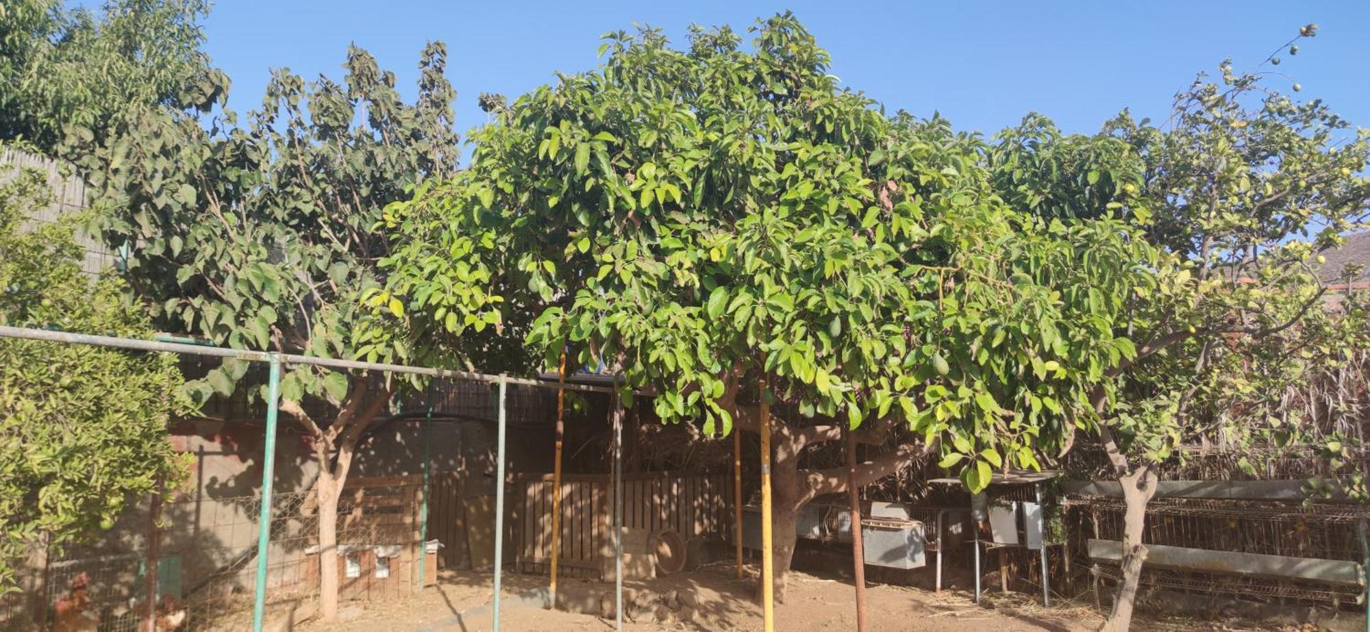 Ferienwohnung Casita Leos Agüimes Exterior foto